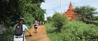 Things to do in Southeast Asia? Cycle in Bagan for a day!